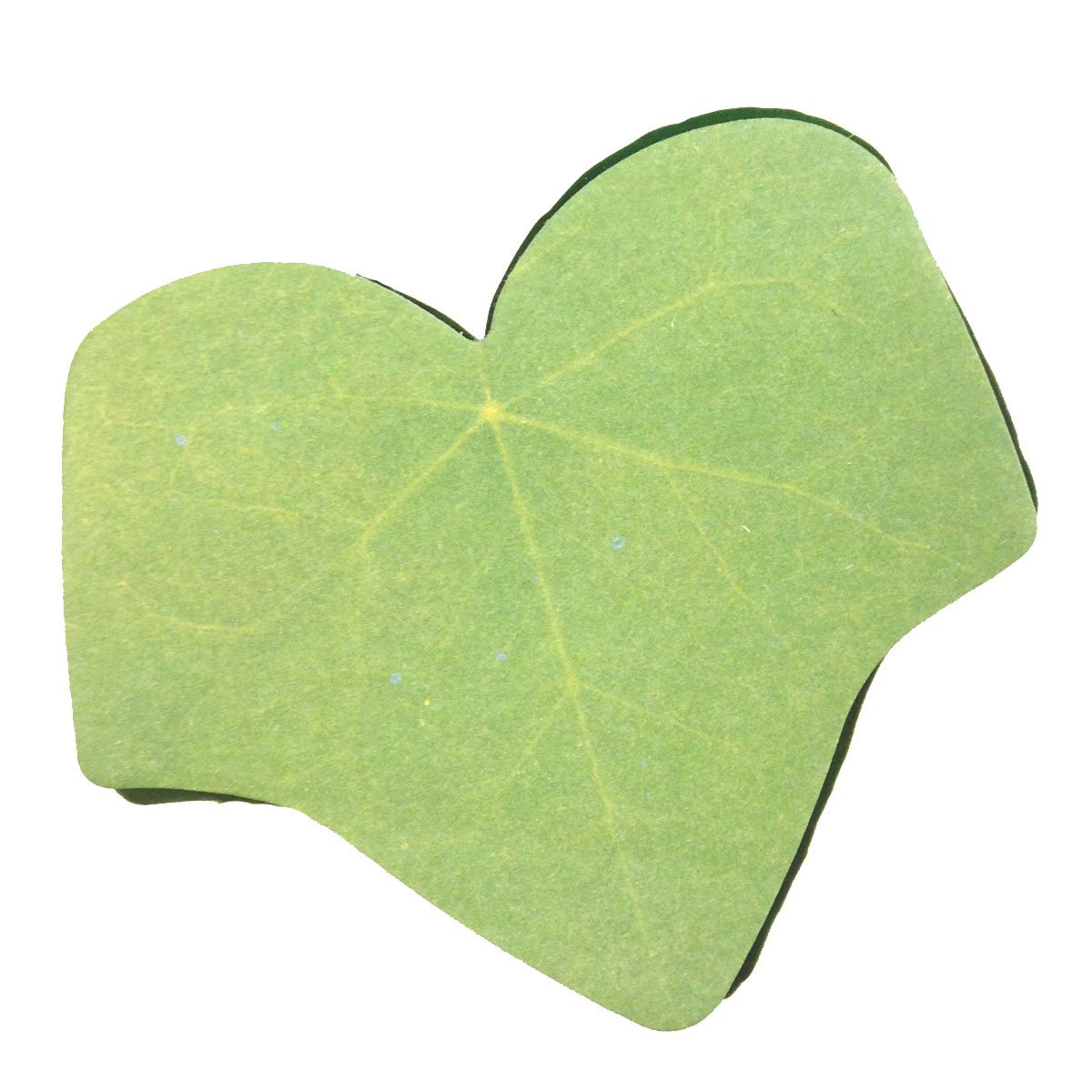 Amazon.com: Wrapables Tree Leaf Sticky Notes, Green : Office Products